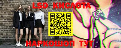 прущие грибы Лесосибирск