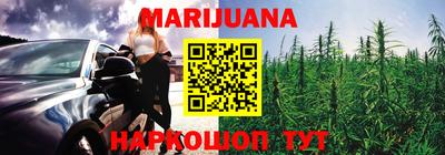 прущие грибы Лесосибирск