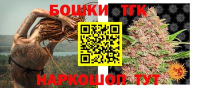 прущие грибы Лесосибирск