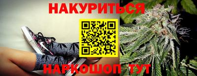 прущие грибы Лесосибирск