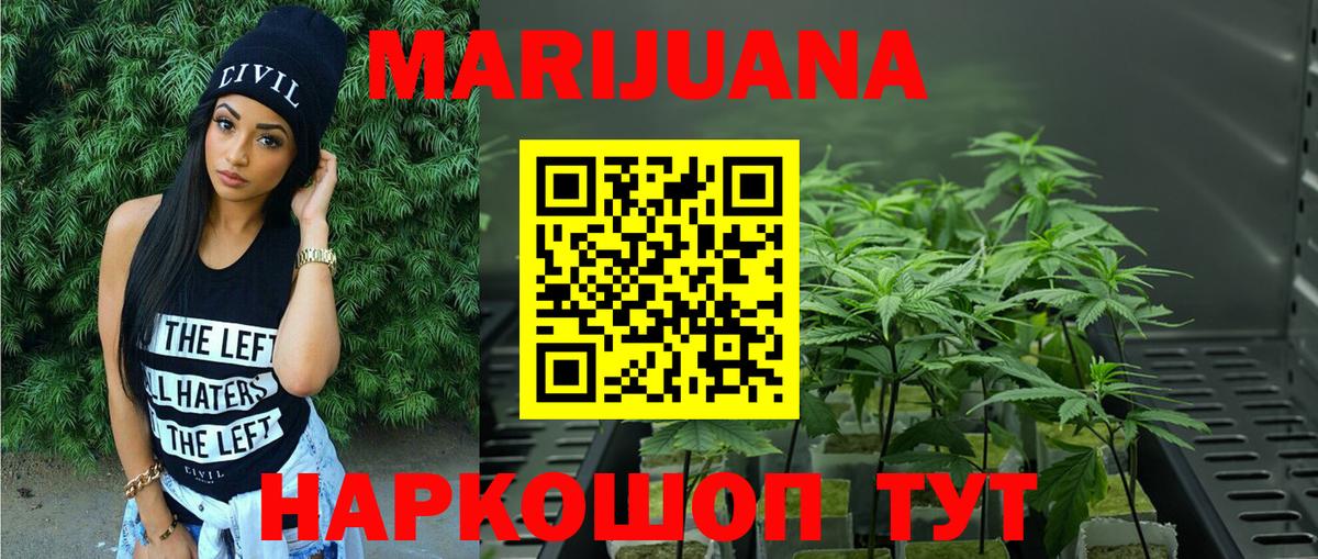 Бошки Шишки сатива Ирбит
